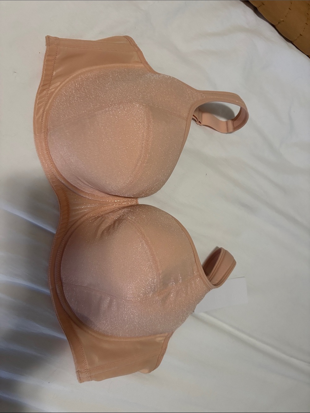 HSIA Smooth Shimmer Full-Coverage Bra in Nude